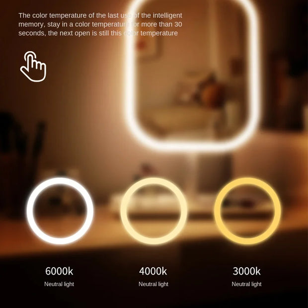 Vanity Mirror with Lights