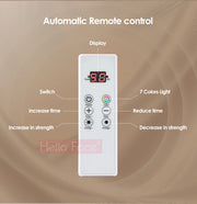 Facial LED Light Mask