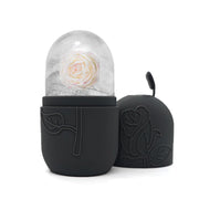 Ice Roller For Face