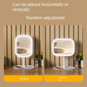 Vanity Mirror with Lights