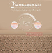 Facial LED Light Mask