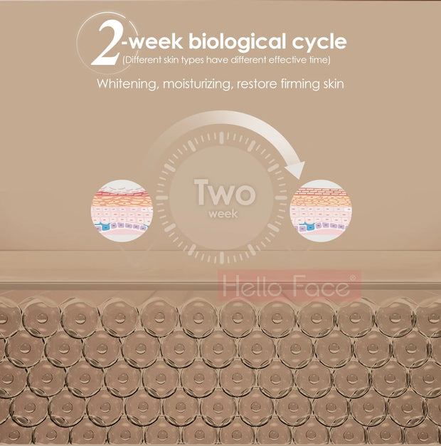 Facial LED Light Mask