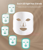 Facial LED Light Mask